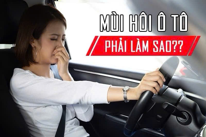 Top 15 cách khử mùi khó chịu cho ô tô hiệu quả nên thử ngay